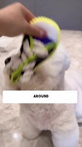 This squeaky slipper with sturdy cotton rope gives dogs the perfect mix of playful excitement and effective dental care! 🐶 ✅ Healthy dental support ✅ Exciting squeaker stimulation ✅ Safe & satisfying chewing Join thousands of satisfied dog owners and enjoy up to 50% off for a limited time! 😍🐕 https://pets-dreams.uk/products/squeaky-slipper-with-sturdy-cotton-rope-dental-care-fun-for-dogs | Pets Dreams UK