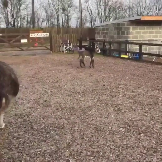 When you realise it's Friday tomorrow... | BBC Yorkshire