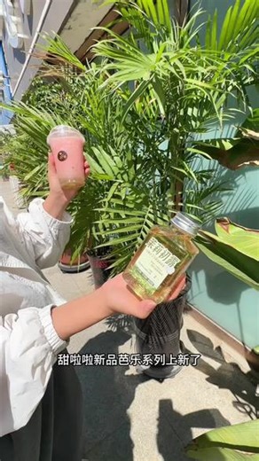 甜啦啦买一送一啦！新品芭乐系列太好喝啦#一杯喝懂一座城#五一出游芭乐带回家#甜啦啦新品芭乐上新