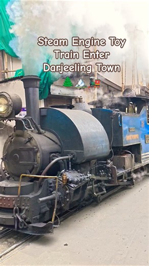 Darjeeling Steam Toy Train Reach Near Darjeeling DRC Complex 🌲🏔️🚂