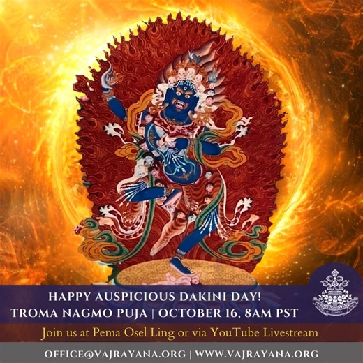 ✨ Dakini Day: Troma Nagmo Puja Join us tomorrow, Wednesday, October 16 • 8 AM Pacific Livestreamed from Pema Ösel Ling Join us this Dakini Day for the Troma Nagmo Puja, a profound practice of Chö from the treasure cycle of Düdjom Lingpa. Through melody, offering, and visualization, we connect with Troma—the fierce embodiment of wisdom and compassion—cutting through grasping and transforming all appearances into the path of liberation. All are welcome to join via livestream: 🌐 www.vajrayana.org 