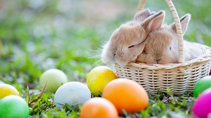 Families pivot to virtual Easter egg hunts during social distancing