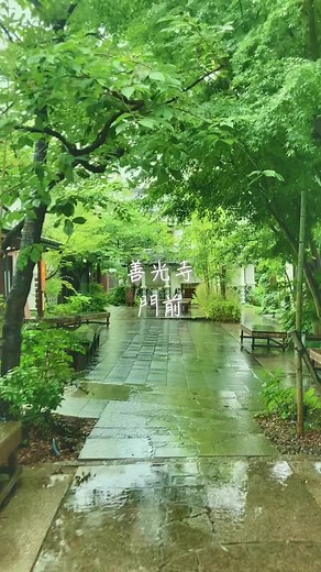 善光寺近くのおしゃれな通りを散策しよう