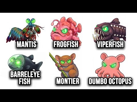 Every Animal That Looks Like an ALIEN Explained In 12 Minutes