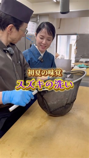 酔心【公式】広島郷土料理/釜飯/牡蠣/オードブル/宅配 on Instagram: "初夏の味覚、スズキの洗い🐟 今回は総料理長にスズキの洗いを作って頂きました‼️ キュッと冷水で締められた身は、プリッとした歯ごたえ🤤 クセがなく噛めば噛むほど上品な旨みが広がって絶品でした😋 ※総料理長の創作料理のため、こちらのメニューは取り扱っておりません。 ーーーーーーーーーーーーーーーーーーーーーーーーーーーーー 【酔心本店】 ◯住所📍 広島市中区立町6-7 ◯電話番号📞 TEL.082-247-4411 ◯営業時間⏰ 月～日 11:30～22:00（L.O.20:30） ※平日15時〜17時30分/ 土日祝16時〜17時30分を準備中とさせて頂きます。 ◯定休日🗓 水曜日 ※他不定休有 ーーーーーーーーーーーーーーーーーーーーーーーーーーーーー #酔心#広島和食#広島グルメ#広島ランチ#広島観光#スズキ#お刺身"