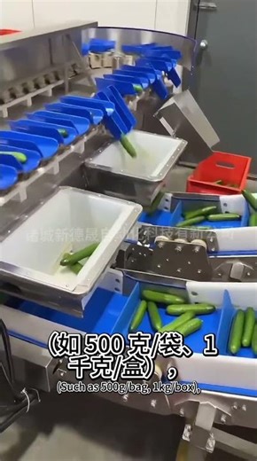 Fresh Fruit and Vegetable Weighing Combination Weighing Machine