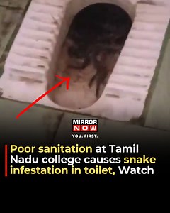 9.8K views · 44 reactions | #Watch: Poor sanitation at a #TamilNadu college causes a snake infestation in the bathroom #Snake #Sanitation #Education #India #Shocking | Mirror Now | Facebook