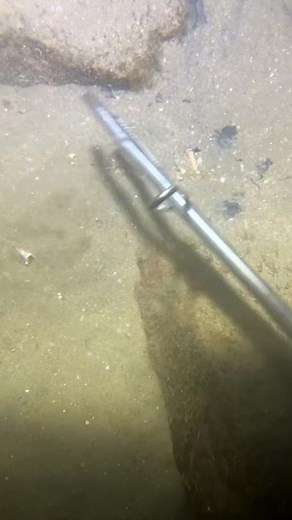 1.6K views | Catching shrimps in diving, and the slumber crabs in the sand Rural Areas #Outdoor #Crabs #San #Crab_1 | Christy Redmon | Facebook