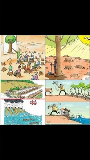 The Sad Reality of Deforestation 🌳🚫 | Save Our Earth 🌍