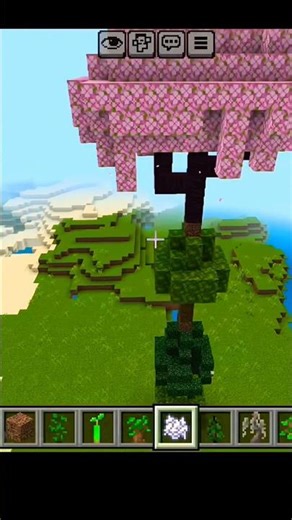 Minecraft Secret Trick You Missed 👀 Tranding