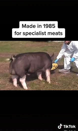 #foryoupage #fyp #fy #foryou #farm #hybrid #animal #nature #zoo #lab #science #crossbreed #xyzbca #zyxcba #trending #astethic #food #scary #beast #monster #community #pet #viralvideo #xuhuongtiktok #abcxyz