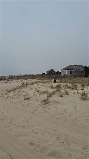 Hamptons beaches