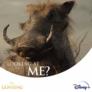 45K views · 2K reactions | What are your plans tonight? #TheLionKing is now streaming on #DisneyPlus. | The Lion King | Facebook