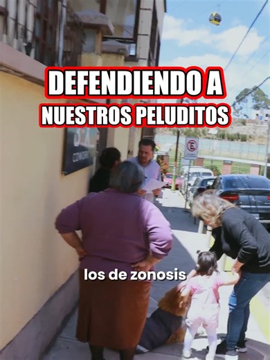 Fui a la cancha Luis Lastra, atendiendo la denuncia de vecinos preocupados por dos perritos que viven en el lugar desde hace más de 15 años y que son parte de la comunidad. Lamentablemente, recibimos el reporte de que habrían sufrido maltratos por parte de una vecina. Nos comunicamos con ella para advertirle que, ante una nueva denuncia, procederemos por la vía legal, porque el maltrato animal no puede ser tolerado. También llevamos dos casitas para que estos perritos puedan descansar más cómodo