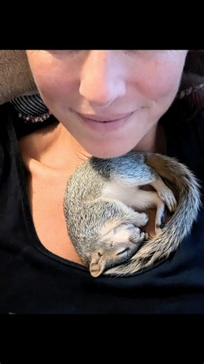 This book came from the same place a lot of my work comes from - devotion to giving these tiny beings the second chance they deserve. 🐿️✨ Brave Emma: The Shelter Under the Branches is a story about safety, courage, and finding refuge where you are loved. Writing it felt like a natural extension of how I move through this work, rooted in presence, trust, and care for the lives that choose closeness with me. I’m proud of this and grateful to see it out in the world. If you’ve been drawn to the sq