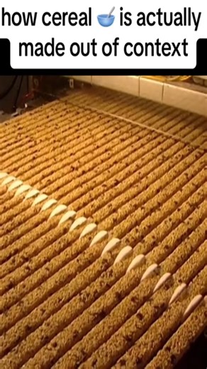 677K views · 22K reactions | how cereal bars are actually made out of context | carzy facts | Facebook