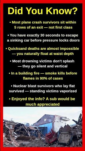How To Actually Survive These Disasters 🌪️😰