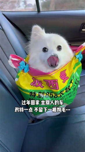 Spring Festival Homecoming: Tips for Safe Car Sharing