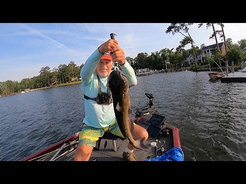 Catching Channel Catfish Casting On Lake Murray, 2025