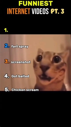 The Funniest Internet Videos You’ll See Today