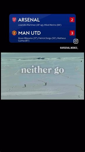 Penguin Behavior: Mountain Migration Explained