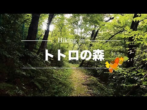 ハイキング [トトロの森から狭山湖へ]