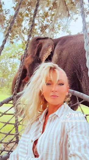 Discover the Heartwarming Bond with My Elephant Best Friend