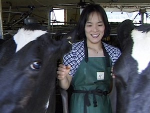 The Real New Zealand | Television | NZ On Screen