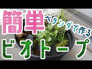 [Biotope] Easy! Start it on your balcony in early summer!