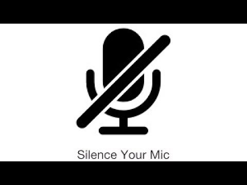 How to Mute your Mic PC (Blue Snowball)