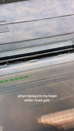 From Singular Well in a Western Blot to Mastering PCR: My Journey in Research Lab