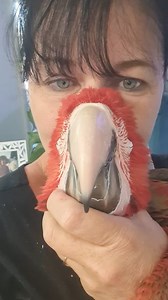 40K views · 1.1K reactions | Eddie's Flight Club on Reels | Facebook