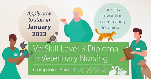Veterinary Nursing VTEC Level 3 Diploma - Companion Animal Pathway