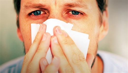 Why your body attacks pollen like it’s a threat