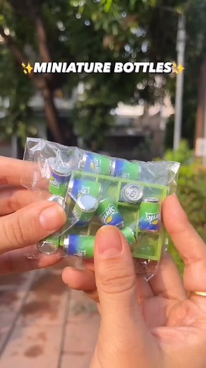 Miniature Bottles Collection Showcase