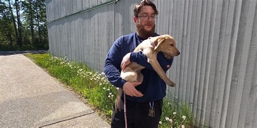 86 dogs moved in Anchorage days after extreme hoarding neglect case discovered