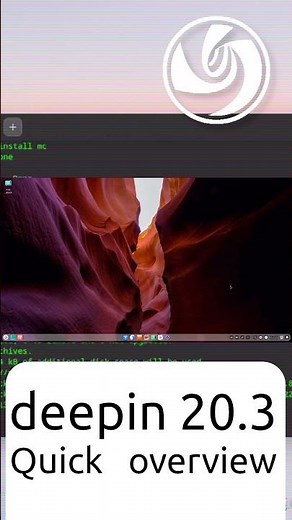 deepin 20.3 Quick overview #Shorts