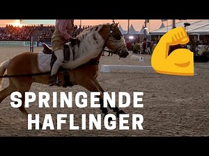 Wie gut können Haflinger springen? | Hier der Beweis! | Eurochampionat Haflinger