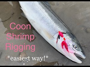 How to rig coon shrimp *STEELHEAD PLUNKING*