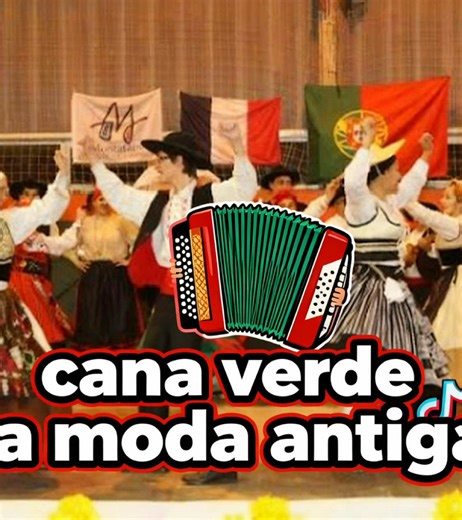 Cana verde a moda antiga na concertina #Concertina #fado #concertinaportuguesas #portugal🇵🇹