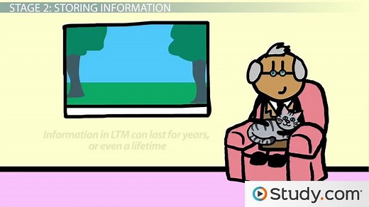 Memory in Psychology | Definition, Types & Stages