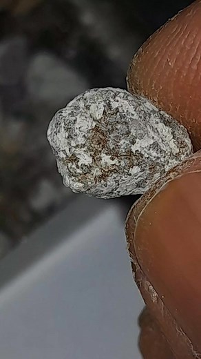 Champagne diamond | Diamondboy Diamondboy