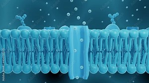 Cell membrane with ion channel cross-section