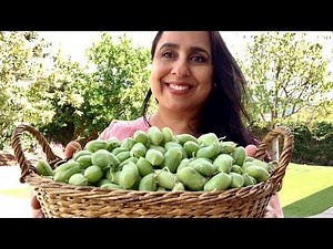 #30 CHILLING WITH CHOLIYA I Green Garbanzo Beans I Hara Choliya I The PERFECT SNACK!