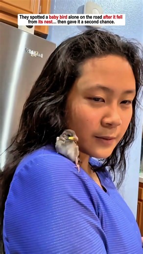 They spotted a baby bird alone on the road after it fell from its nest… then gave it a second chance