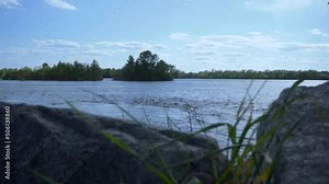 River stream landscape. Beauty nature view. Wild river with fast stream. River water flowing. Green tree near water. Summer nature background. video footage