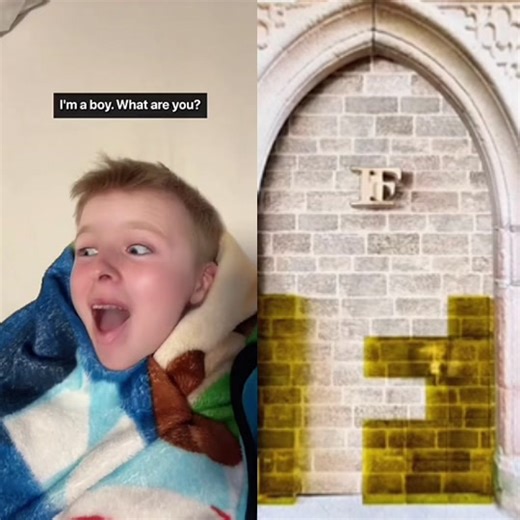 TikTok · lukedavibson