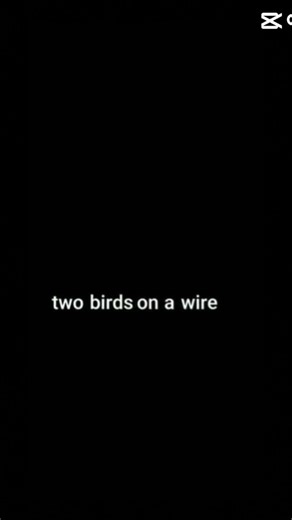 Posting lyric vids till I reach my sub goal! 🦩595/1000 #plssubscribe PLE SUB!!