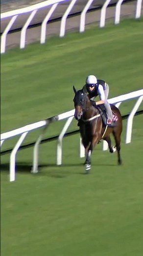 KA YING RISING completes his final gallop before making his way to the Everest… 🇭🇰✈️🇦🇺