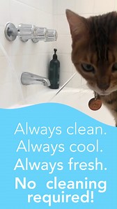 3K views · 158 reactions | Al loves his cats, and that’s why he’ll only let them use the AquaPurr fountain: “It's astonishing that this isn't the standard for cat fountains. There's never a need to worry about them running out of water, and the water is consistently clean, which enhances the cats' health.” Thanks, Al! We meow you too! Buy the cat fountain you never need to clean! https://aquapurr.com | Animal Wellness Magazine | Facebook